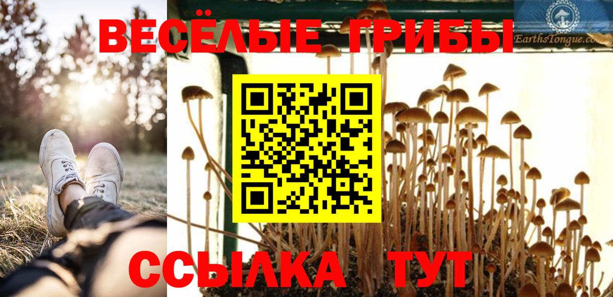 Псилоцибиновые грибы GOLDEN TEACHER Шадринск