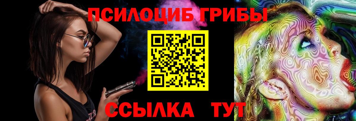 Шадринск  Галлюциногенные грибы Psilocybe  Вход с VPN 